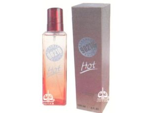 90210 HOT 100ml TOILETTE CABALLERO